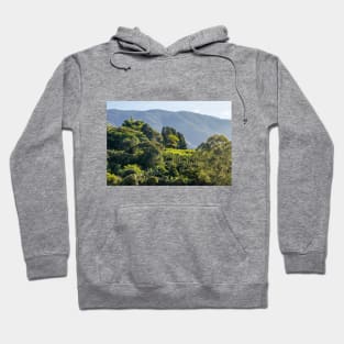 Costa Rica Morning Mountain Haze Hoodie